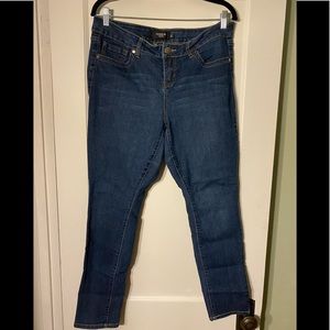 Torrid Jeans